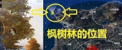 和平精英野餐點(diǎn)還有嗎？野餐的地方在哪？野餐點(diǎn)位置分享