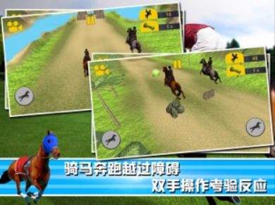 騎馬達(dá)人游戲版下載截圖3