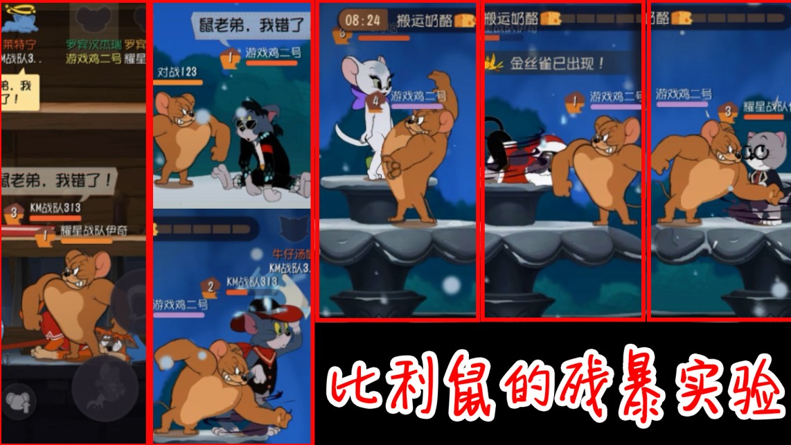 貓和老鼠：比利鼠的殘暴實驗，貓能抗住幾下攻擊？哪只貓最菜呢？