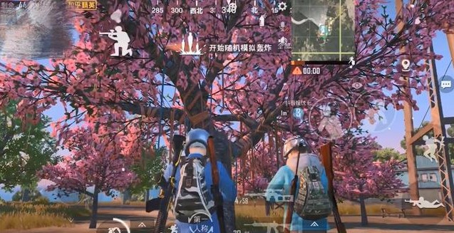 和平精英櫻花樹在哪？情人節(jié)櫻花樹位置介紹