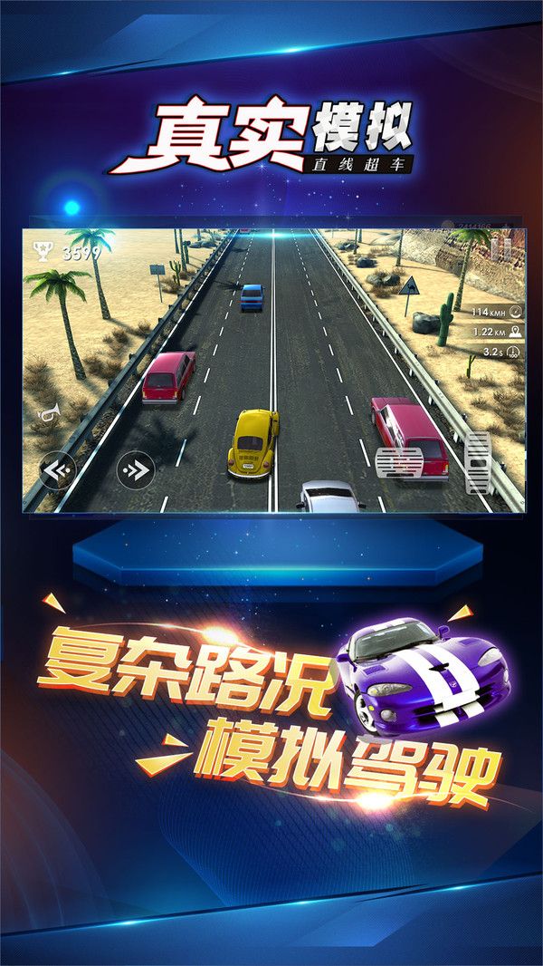真實(shí)模擬直線超車游戲免費(fèi)金幣下載截圖1