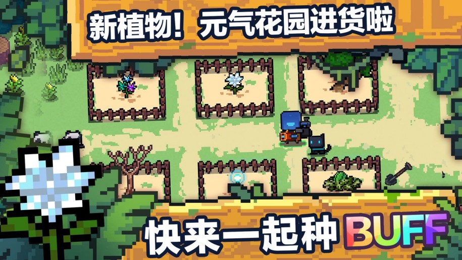 元氣騎士：花園植物進新貨！妙妙花隨機天賦？藍盾都能開局得