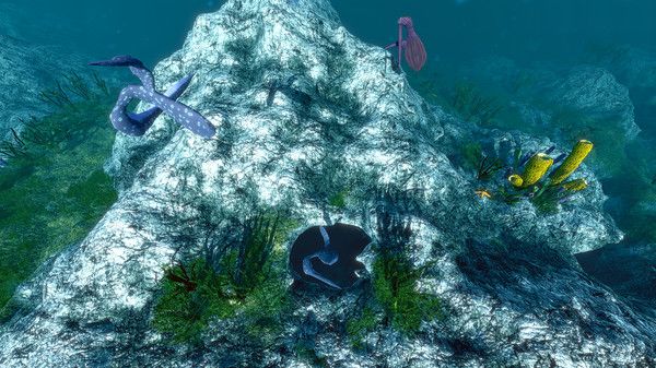 海洋生態(tài)模擬器中文最新版截圖2