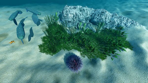 海洋生態(tài)模擬器中文最新版截圖1