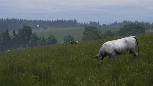 DayZ新地圖Livonia更新Dlc安裝下載截圖5