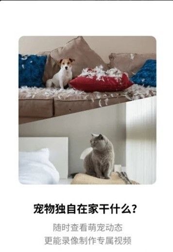 騰訊慧看家軟件APP版下載截圖2