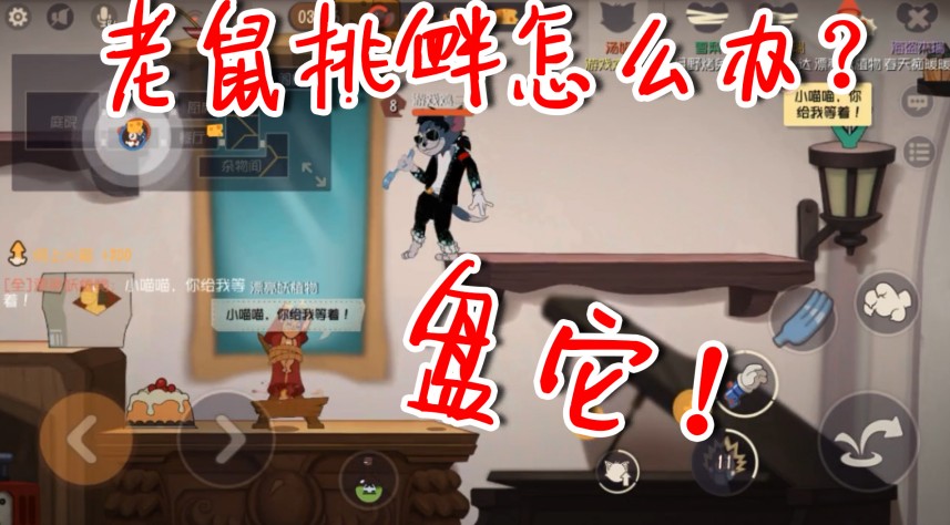 貓和老鼠：鼠黨瘋狂挑釁怎么辦？盤它！貓皇的憤怒你惹不起！