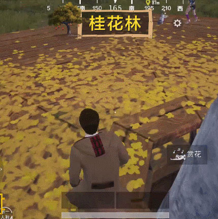 和平精英