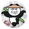 憤怒的熊貓人手機(jī)小游戲安卓版