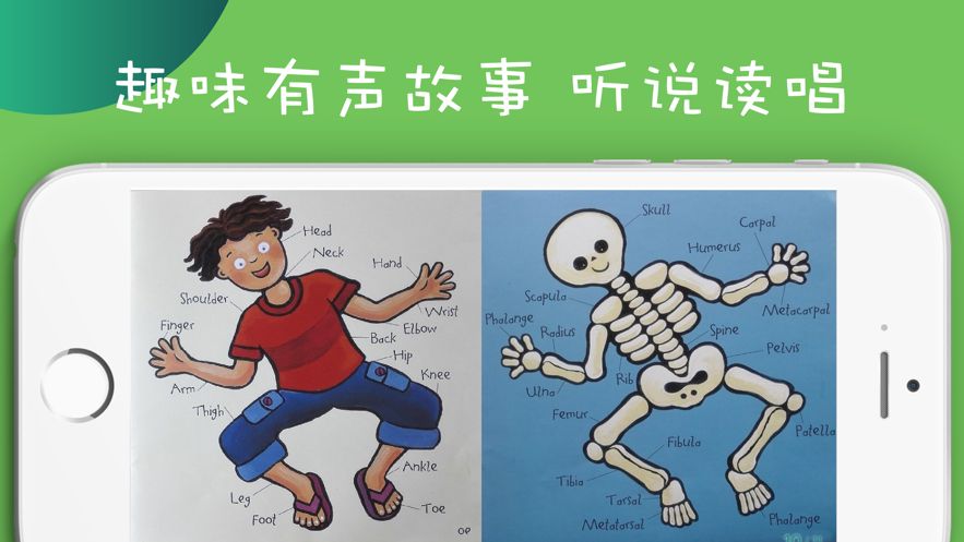 動聽英語繪本APP正版軟件截圖4