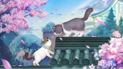 喵與筑手游評測：創(chuàng)造貓咪溫暖世界