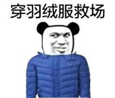 有人拼羽絨服嗎表情包高清無水印圖片合集截圖2