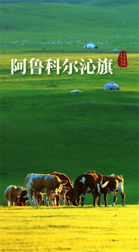 阿旗扶貧二維碼APP安卓版截圖1