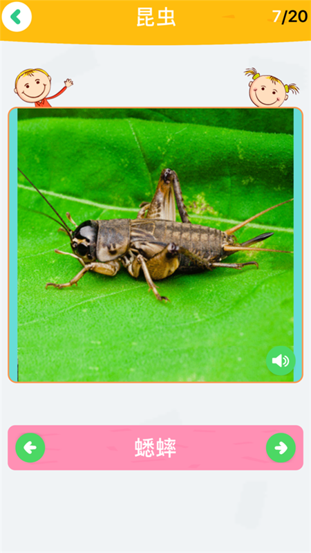 斑馬多多數(shù)學課APP軟件版截圖2