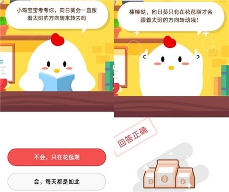 貓咪愛吃魚，它們吃魚時(shí)也可能被魚刺卡到嗎？螞蟻莊園10月21日最新答案
