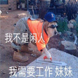 打工人經(jīng)典語錄大全免費(fèi)分享截圖2