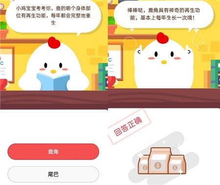 人類一分鐘心跳是60-100次鯨魚一分鐘心跳是幾次？螞蟻莊園10月26日答案最新