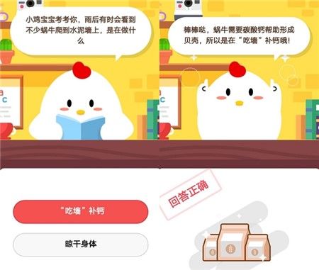 鋼琴的黑白鍵寬度一樣嗎？10月28日螞蟻莊園今日答案