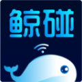 鯨碰APP蘋果版
