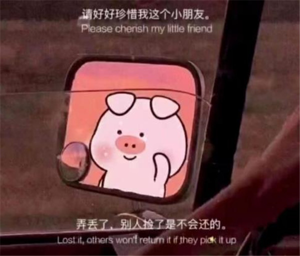 請好好珍惜我這個小朋友，弄丟了，別人撿了，是不會還的表情包圖片合集分享截圖2