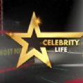 名流生活游戲中文手機(jī)版 Celebrity Life