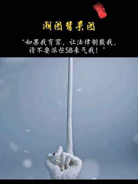 如果我有罪請讓法律制裁我而不是表情包無水印原圖截圖1
