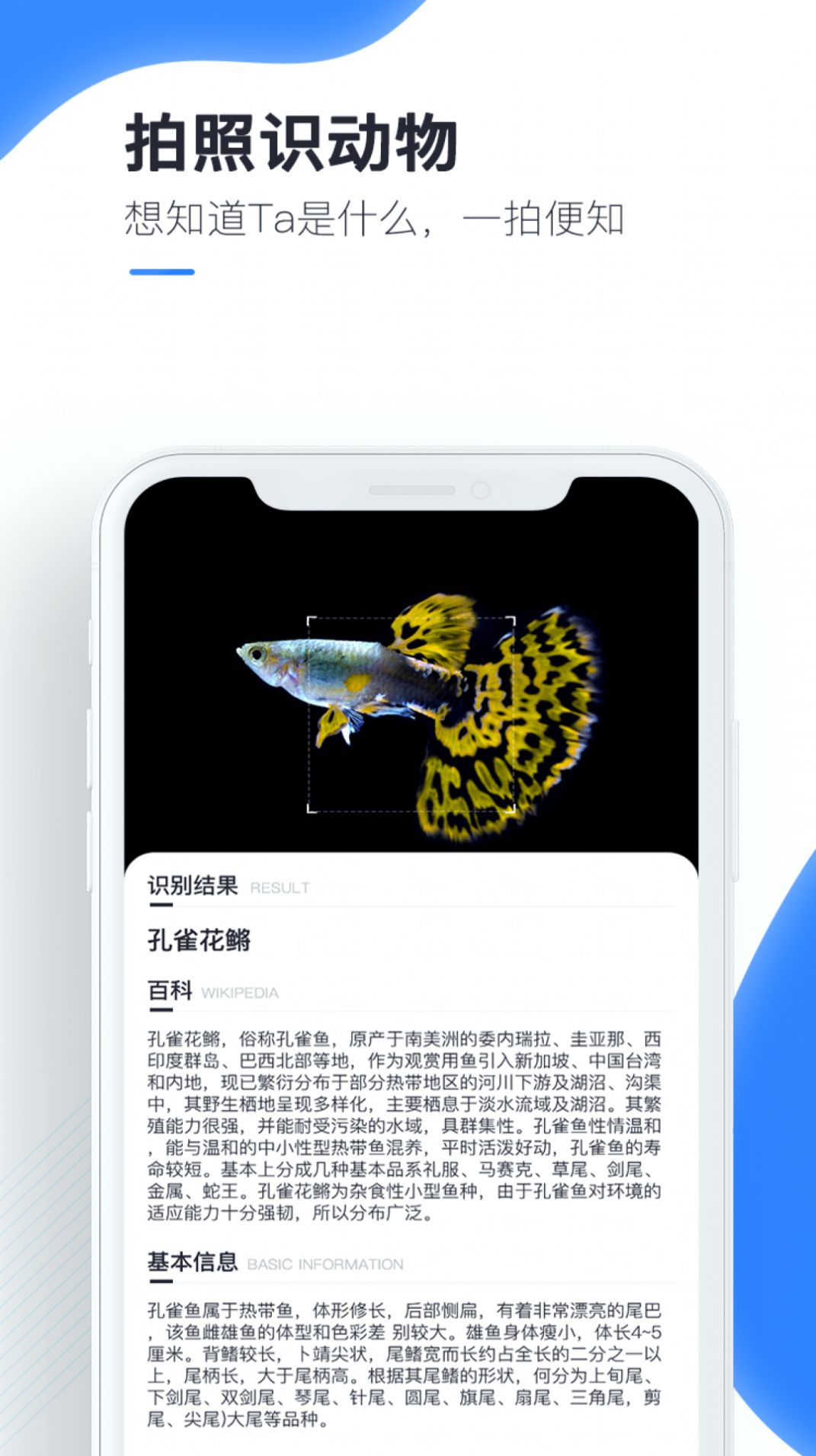 百科掃描王APP版截圖3
