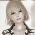 侵染命運(yùn)輪回雙子篇2.0漢化完整版