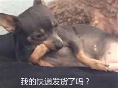 雙十一取快遞表情包圖片合集無水印免費下載截圖2