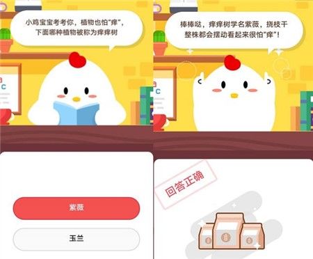 植物也怕癢下面哪種植物被稱為癢癢樹？螞蟻莊園11月9日小課堂今日答案
