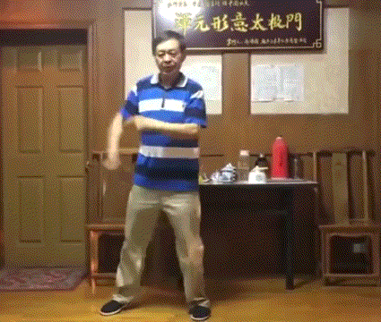 馬保國閃電五連鞭表情包gif加特效動(dòng)態(tài)圖app截圖2