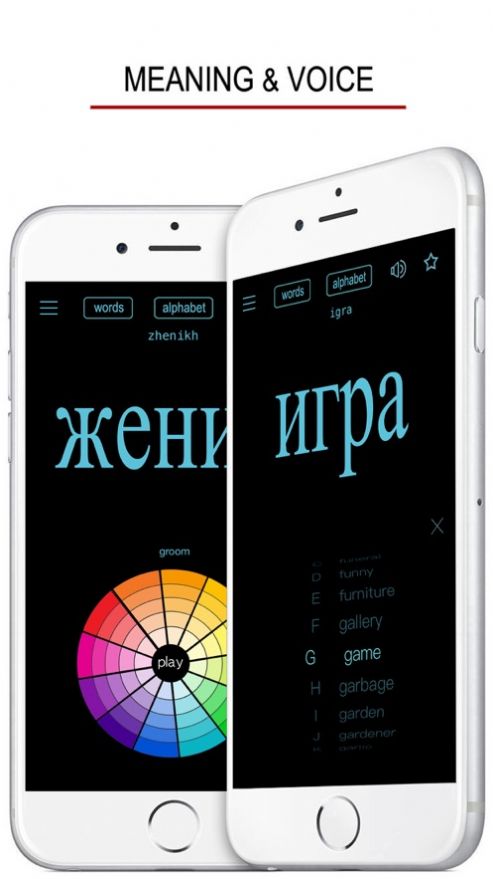 俄語單詞發(fā)音與書寫app安卓版截圖4
