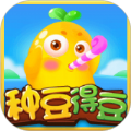 種豆得豆游戲紅包版
