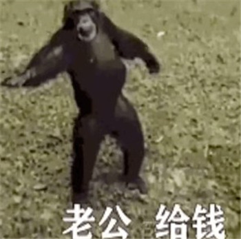 抖音老公給錢表情包猴子動(dòng)態(tài)gif圖片合集截圖1
