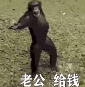 抖音老公給錢表情包猴子動(dòng)態(tài)gif圖片合集截圖2