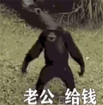 抖音老公給錢表情包猴子動(dòng)態(tài)gif圖片合集截圖3