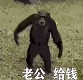 抖音老公給錢表情包猴子動(dòng)態(tài)gif圖片合集截圖4