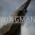 僚機(jī)計劃steam游戲中文版(Project Wingman)