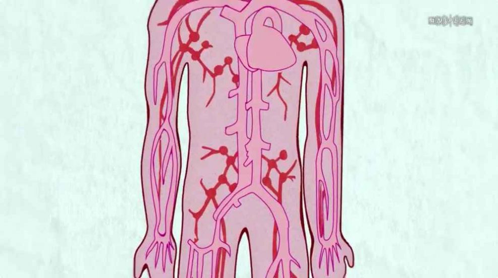 工作細胞第二季櫻花中文版游戲截圖1