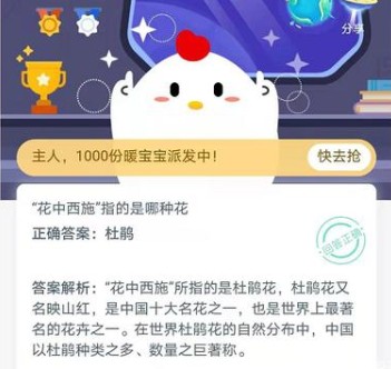 花中西施是哪種花 花中西施指的是什么花的別稱螞蟻莊園