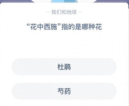 花中西施指的是誰 花中西施是什么花名螞蟻莊園