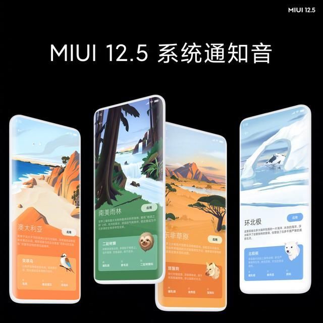 小米11屏幕獲得什么獎？小米11屏幕形態(tài)名稱介紹