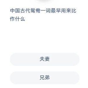 中國(guó)古代鴛鴦一詞最早用來比作什么？螞蟻莊園12月4日答案
