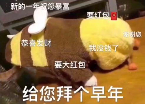 坐等2021年的第一瓶旺仔牛奶因?yàn)樗脑⒁馐?