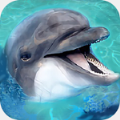海洋動物模擬器游戲安卓版