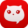 貓呼交友APP最新版
