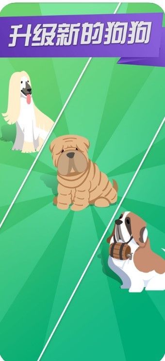 開心犬舍游戲最新紅包版截圖3