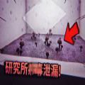 紙魚解說墮落的基金會中文游戲手機版