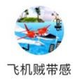 飛機(jī)賊帶感小程序游戲安卓版