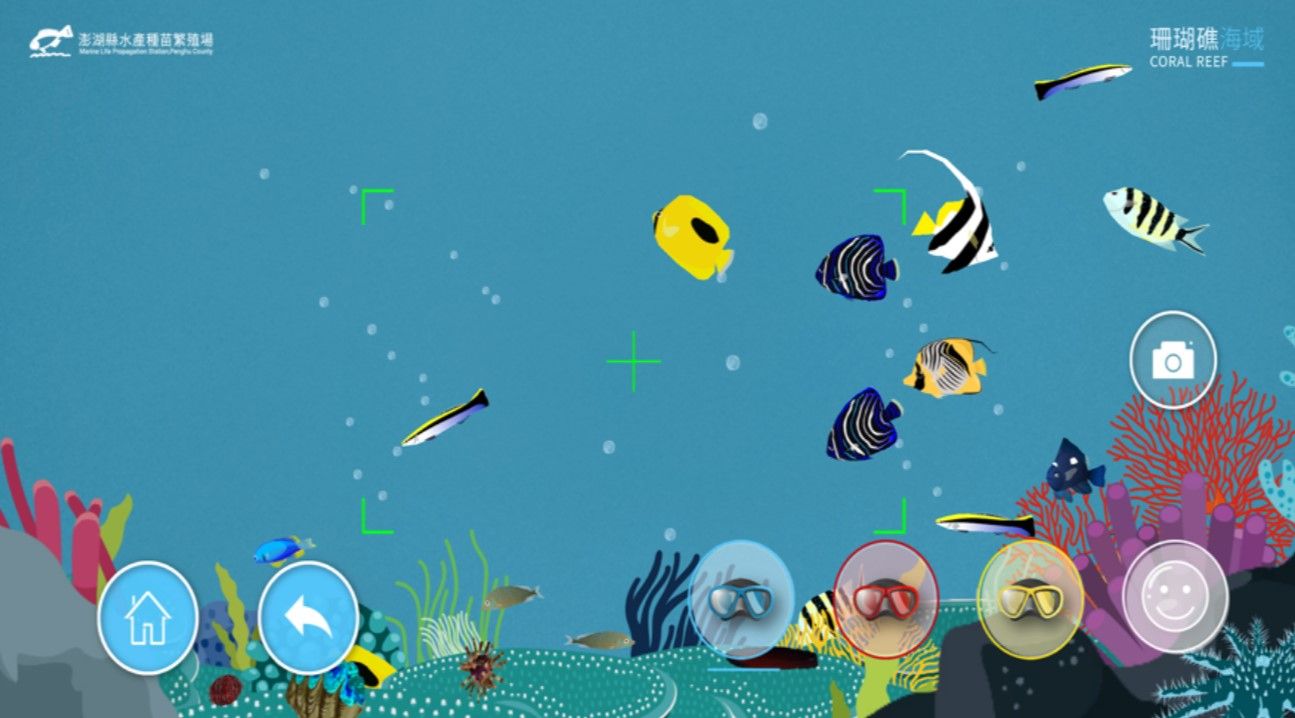 海洋生物拍照趣游戲安卓最新版截圖1